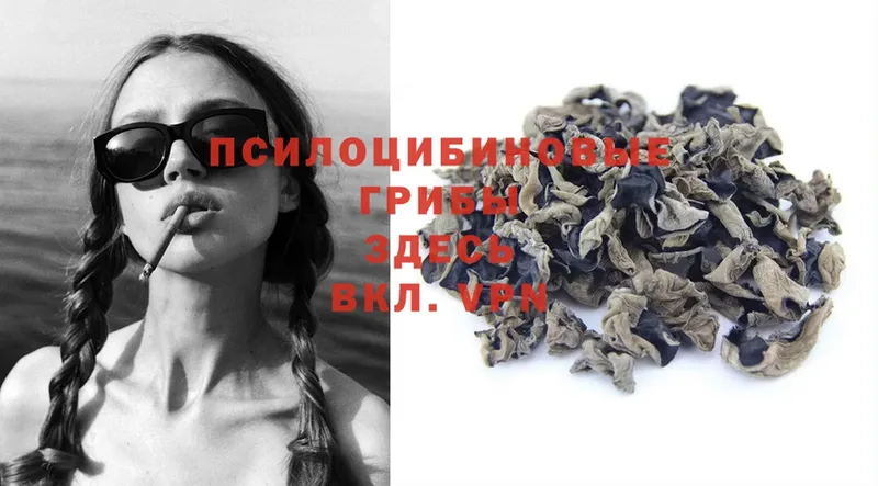 Псилоцибиновые грибы Magic Shrooms  Балей 